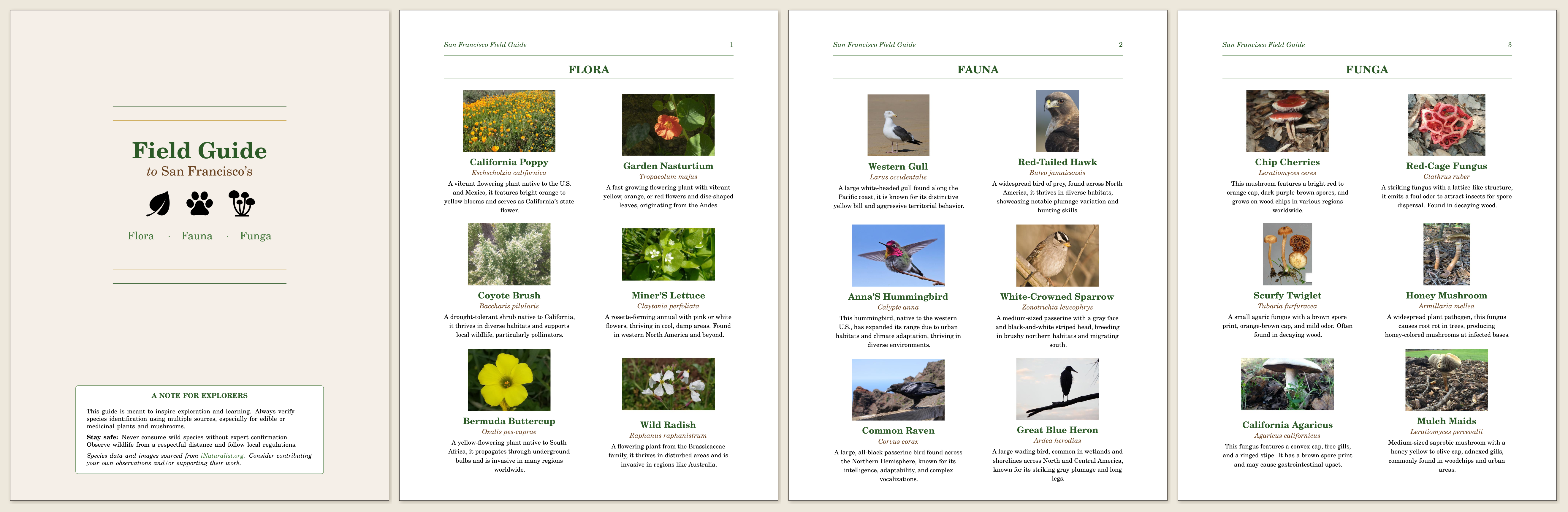 Example page from a generated field guide